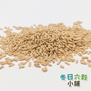 【冬日六穀】燕麥粒 (600公克) 燕麥 生大麥片 珍珠麥片