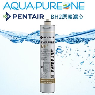 【保證正貨,美國進口】Pentair Everpure BH2 濾芯 美國原裝平行輸入品,非台灣愛惠普公司貨