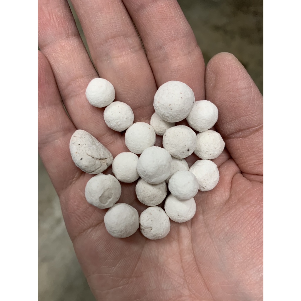 [冷男水族]台灣ISTA伊士達 - 白色 活性生物珠 陶瓷珠 石英球 陶瓷環珠 濾材 培菌
