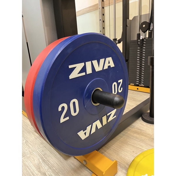 ZIVA奧槓20公斤槓片