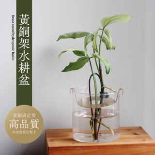 0123 studio | 黃銅架水耕盆 水耕盆 水植 水培 黃銅架 玻璃 花盆 花器 發根 天南星科 觀葉植物 龜背芋