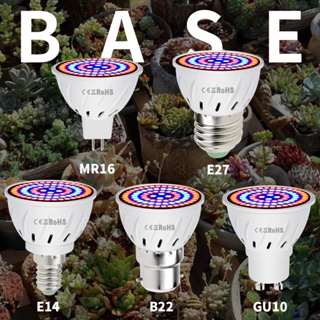 LED植物生長燈多肉補光植物燈泡E27全光譜室內E14水培植物燈杯MR16螺口B22家用植物照明48/60/80leds