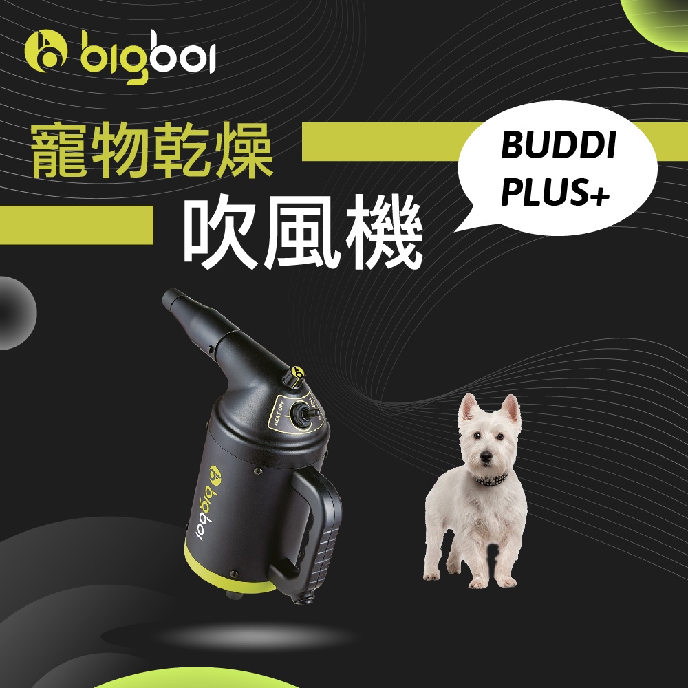 bigboi 寵物冷熱吹風機 Buddi PLUS+ 澳洲原裝進口