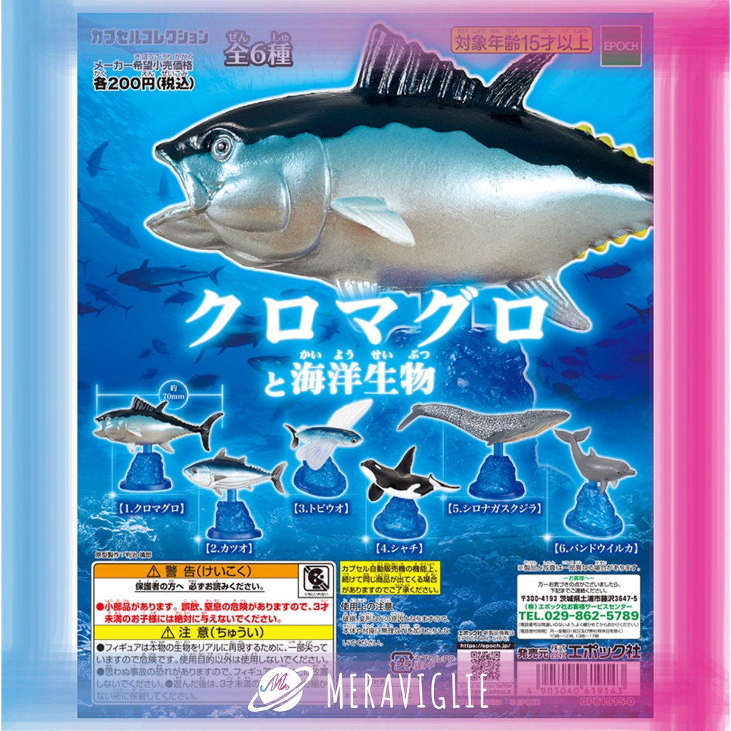 【M.M小舖】『現貨』 EPOCH 轉蛋 扭蛋 黑鮪魚與海洋生物 黑鮪魚 海鮮 海洋生物 飛魚 鯨魚