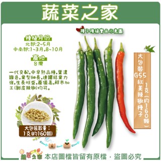 蔬菜之家滿額免運【00G55】大包裝.紅美辣椒種子1克(約160顆)(一代交配中早熟品種，葉濃綠，果細長，連續結果力強，