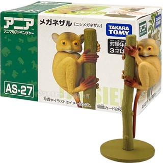 【免運 3C小苑】AN20937 正版 日本 ANIA AS-27 眼鏡猴 探索動物 多美動物 動物模型 可動 模型