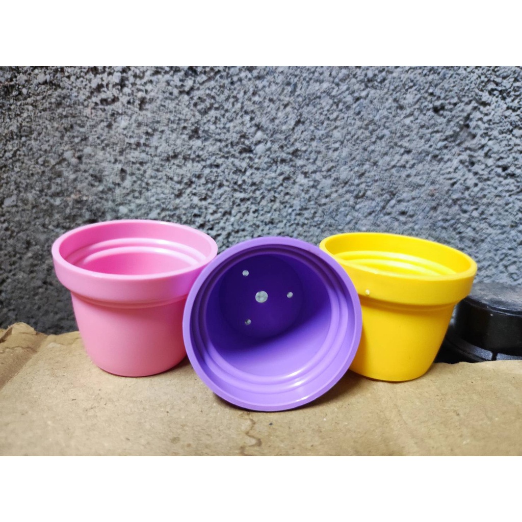 熊貓購物 台灣馬卡龍彩色1寸盆 發票現貨 一寸盆 多肉盆 盆栽 園藝 盆器 塑膠盆 彩色盆 1吋