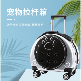 免運 洛瑞夫 寵物狗狗貓咪拉桿箱 航空箱 齣門行李箱 太空箱 狗狗貓咪太空艙 外齣旅行箱