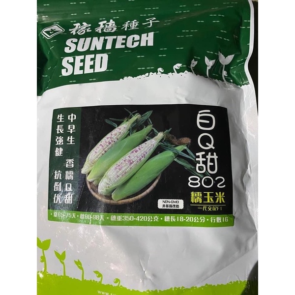 稼穡種子 白Q甜802糯玉米 玉米種子 糯米玉米
