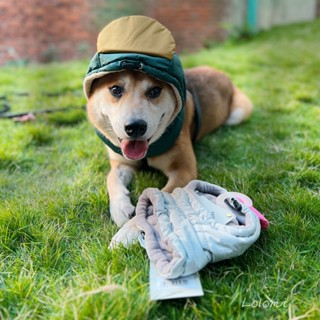 🤍現貨-🇰🇷puppy gallery 保暖羽絨帽 寵物造型帽 寵物衣服 貓狗時尚配件