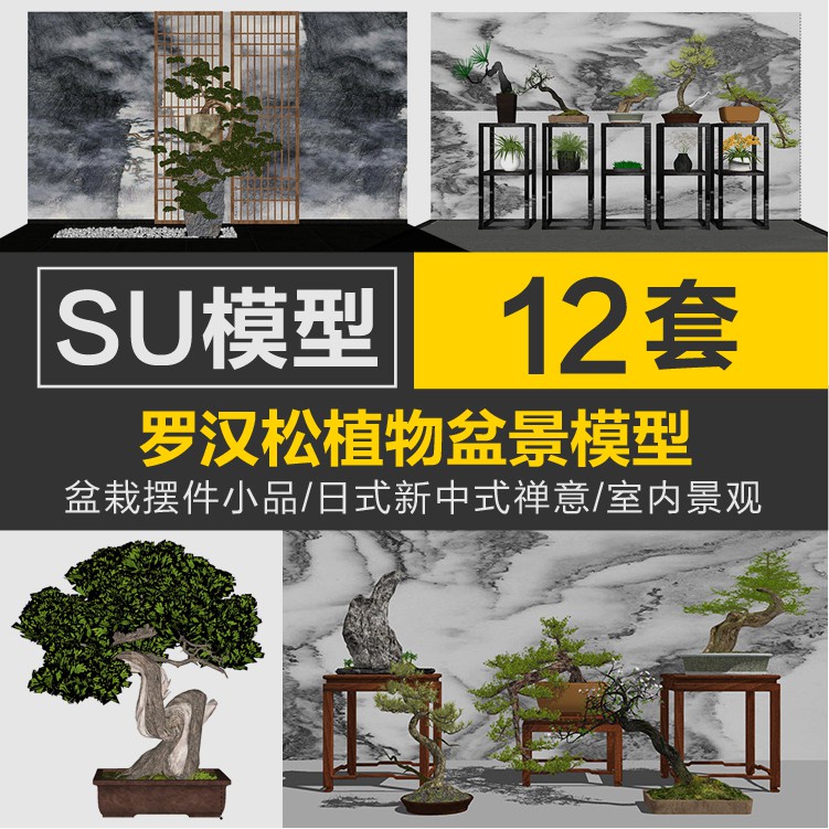 Sketchup模型 | 現代日式新中式景觀室內禪意盆景羅漢松植物su模型盆栽擺件小品