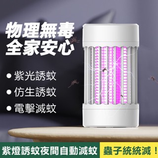 USB充電式 捕蚊燈 攜帶滅蚊燈 小夜燈 造型捕蚊燈 電擊滅蚊燈 光波誘蚊燈 B2-2