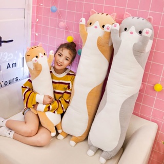 台灣現貨 快速到貨 長長的貓 寶寶 小孩 生日 禮物 交換 貓咪 公仔 絨毛 玩具 可愛 貓 抱枕 娃娃 玩偶
