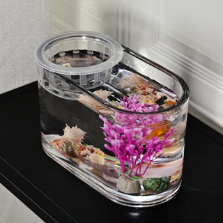 【Asigul】創意玻璃魚缸 桌面花盆 客廳裝飾茶几擺件