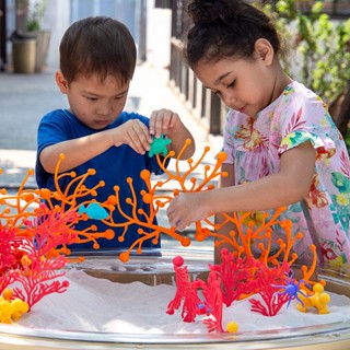 美國 GuideCraft 珊瑚世界 3Y+ 免運 幼兒園教具 教具 玩具 兒童玩具 學習教具
