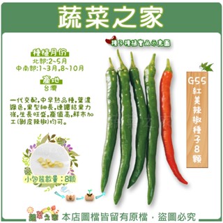【蔬菜之家滿額免運】G55.紅美辣椒種子8顆(一代交配中早熟品種，葉濃綠，果細長，連續結果力強，生長旺盛產值高，可做剝皮