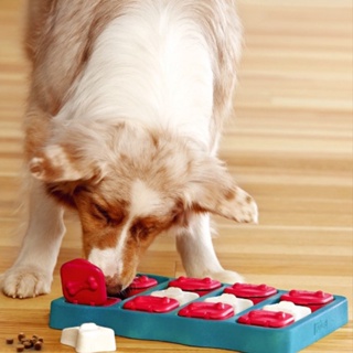 柴犬大學 美國KYJEN移動寶盒 寵物益智玩具 漏食玩具 狗狗早教玩具 訓練玩具 藏食玩具 狗益智玩具 慢食盤 柴犬玩具