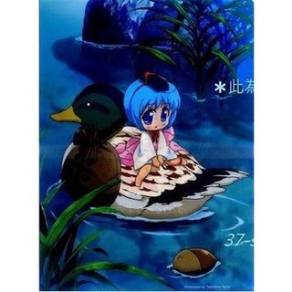 資料夾 卡片 多款 江草天仁 備長炭 備長炭 橡木炭 竹炭 蘆薈 竹林 練炭 蝦皮購物