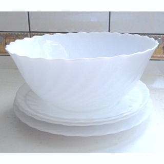 法國 arcopal 時尚 純白 強化餐具組 餐盤 共5件 V瓷不易殘留病菌