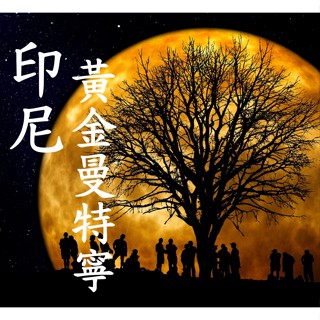 (2024豆貌超水!) 獵豆工坊🐆印尼 蘇門答臘 超級迦佑黃曼 黃金曼特寧 濕剝處理 20 目+ 咖啡生豆 ５００Ｇ