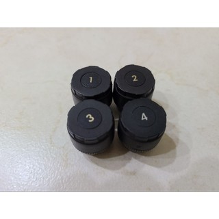 Whistler WP7 TPMS胎壓傳感器二手