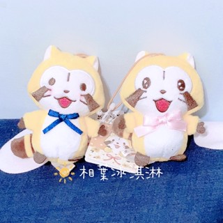 相葉冰淇淋⭐️ 日本帶回 全新 景品 小浣熊 拉斯卡爾 RASCAL 絨毛娃娃 玩偶吊飾