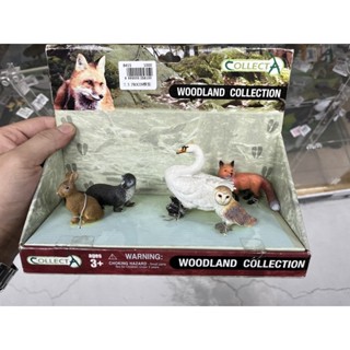 COLLECTA動物模型玩具7.5 PROCON模型
