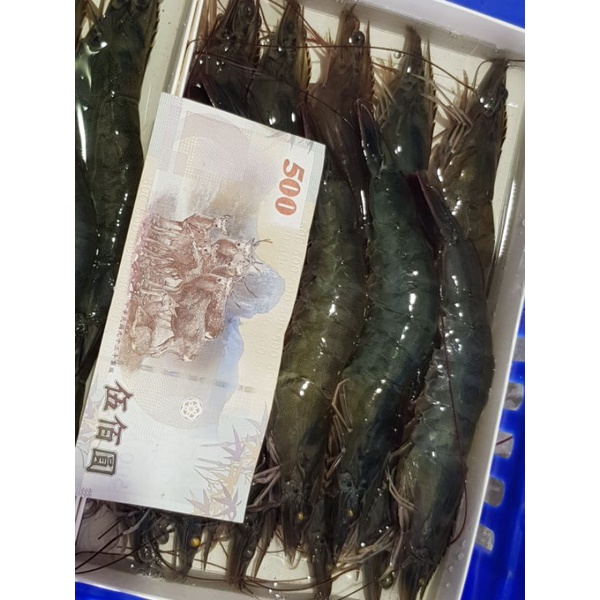 【承佳慶水產】限量-台灣生態養殖（文蛤混養）特大白蝦13-15尾一斤