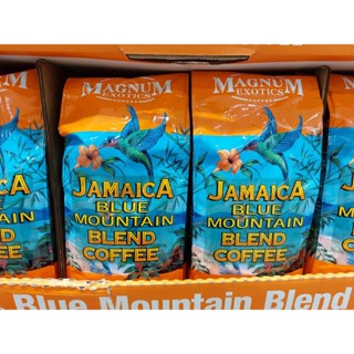 【麻煩天使】Magnum 藍山調合咖啡豆 907公克，效期