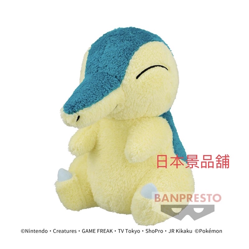 火球鼠 日本 景品 寶可夢 絨毛玩偶 娃娃 Pokémon 神奇寶貝 收藏 禮物 御三家 小智 日貨 毛茸茸