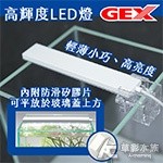 【AC草影】GEX 五味 USB高輝度LED燈（白）【一個】水草燈 30CM魚缸用 20CM水草缸 40CM缸