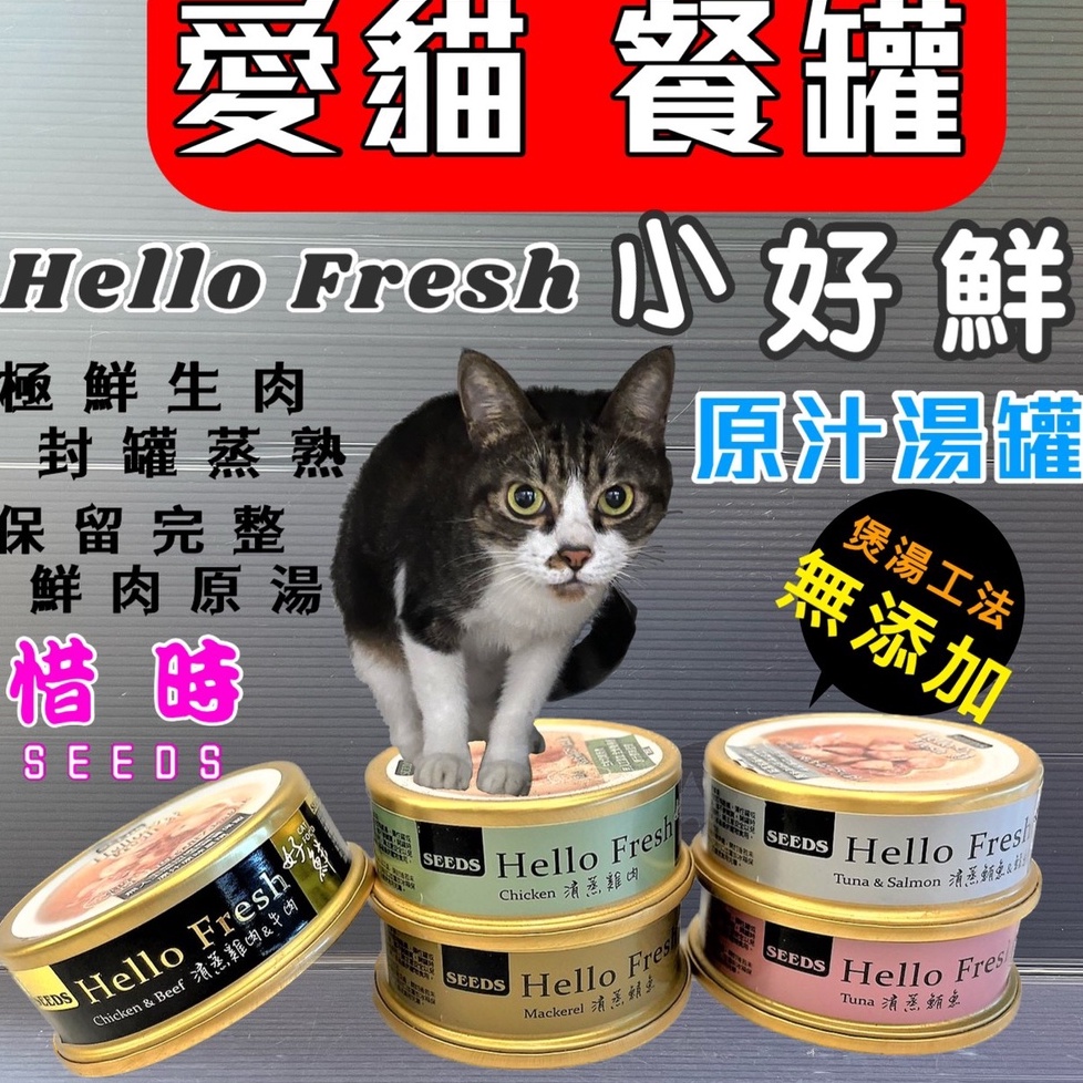 ☀️貓國王波力☀️惜時(清蒸鲔魚 50g/罐)  SEEDS Hello Fresh 好鮮原汁湯罐 貓罐/貓湯罐