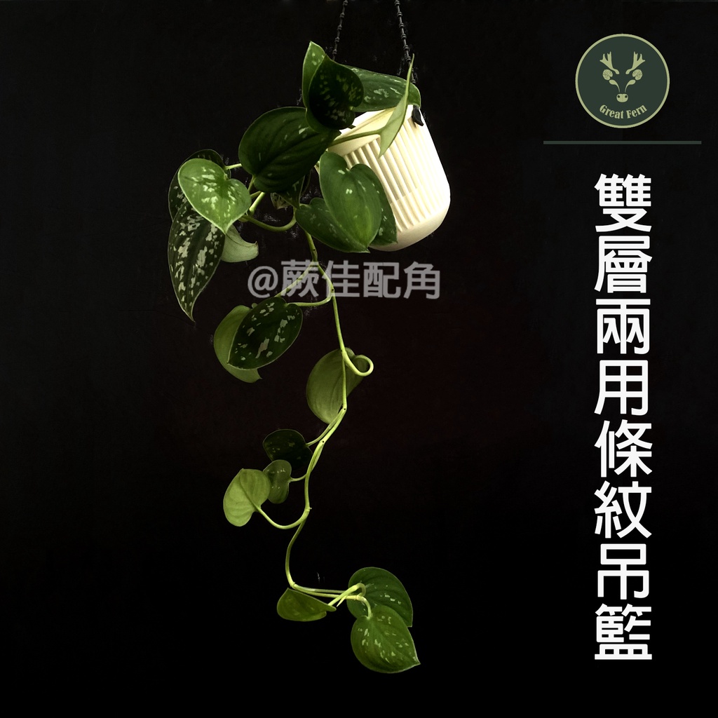 蕨佳配角 - 盆器『兩用雙層條紋花盆』【吊籃、塑膠花盆、塑膠盆栽、園藝必備好物】