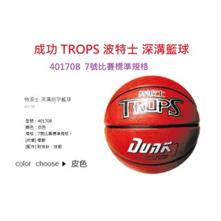 【含稅附發票】 現貨 成功 TROPS 深溝籃球 皮色 籃球 40170B