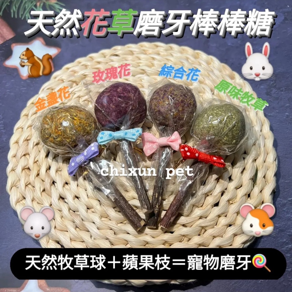 【祁勛】牧草磨牙棒棒糖 兔子磨牙玩具 寵物玩具 寵物磨牙 龍貓 天竺鼠 倉鼠 鳥等小寵物