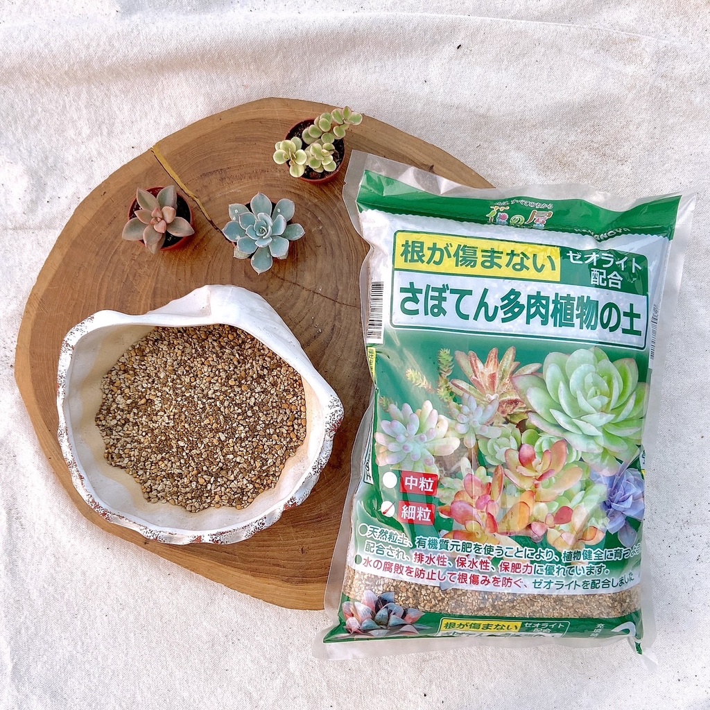 仙人掌專用土 優惠推薦 23年1月 蝦皮購物台灣