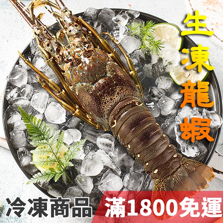 饕客食堂 宏都拉斯 生凍龍蝦 550-600g/尾