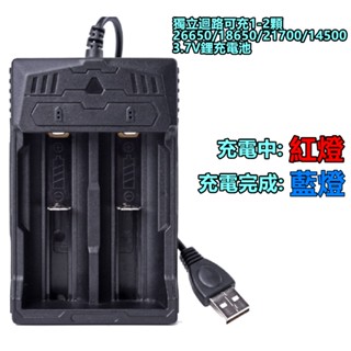 TX特林獨立迴路USB充電雙槽充電器(DLI-USB)
