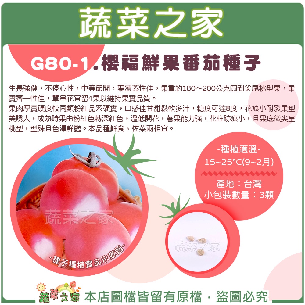 【蔬菜之家滿額免運】G80-1.櫻福鮮果番茄種子3顆 // 粉紅番茄，口感佳甘甜鬆軟多汁，糖度可達8度。果菜類種子
