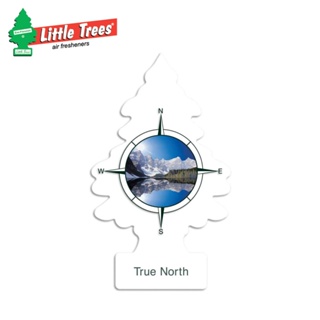 【Little Trees】美國原裝進口小樹芳香片-雪域 (1片裝) 香氛片 車內香氛 | 金弘笙