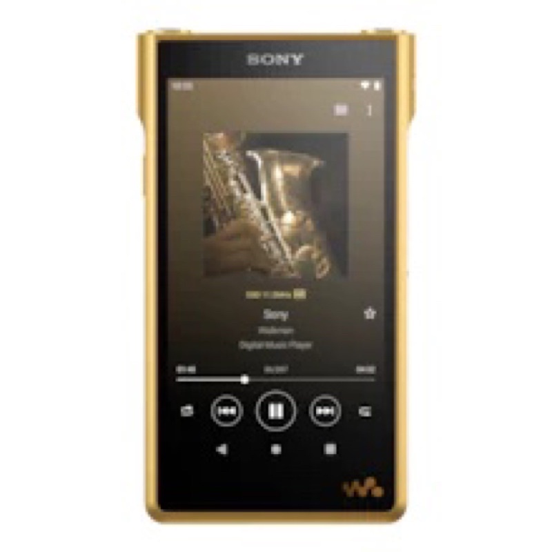 Sony 頂級Signature Series WM1ZM2  金磚二代+DD HiFi 4.4mm 金磚同色轉接頭