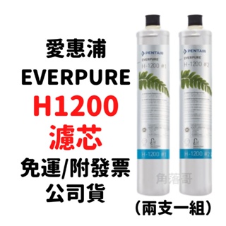 內有優惠活動 開發票 免運 原廠 愛惠浦 everpure H1200 h1200 濾芯 濾心 1200 #1 #2