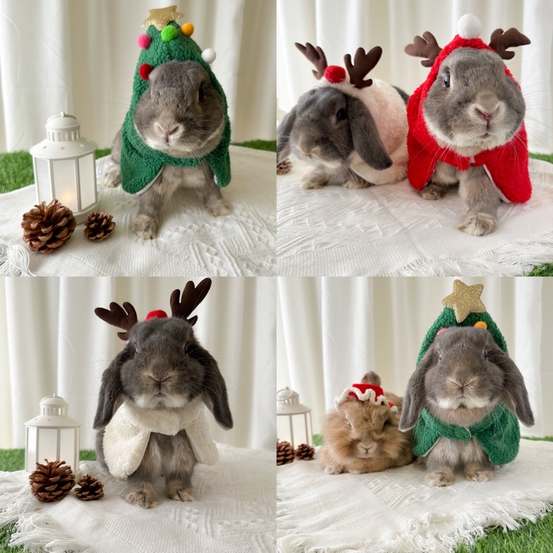 𝑴𝒆𝒓𝒓𝒚 𝑿𝒎𝒂𝒔 聖誕披風 兔兔披風 寵物披風