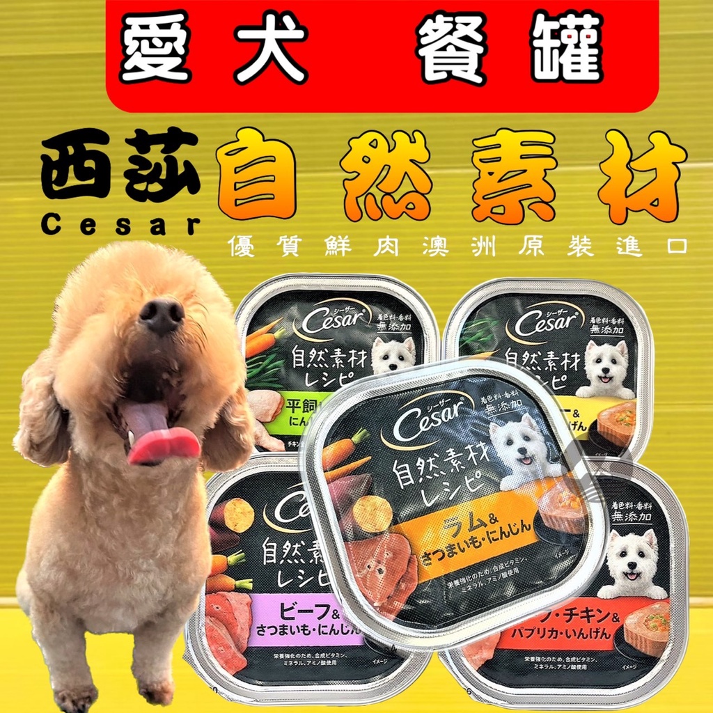 ✪四寶的店✪Cesar 西莎 無縠 自然素材系列餐盒 85g/罐 澳洲 狗 犬 主食 罐頭 雞肉 牛肉 羊肉 火雞肉