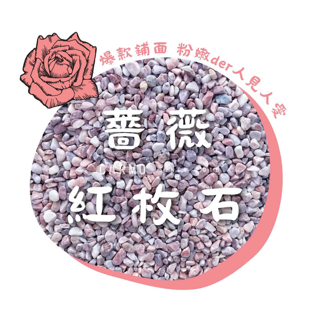 CARMO粉薔薇玫紅石鵝卵石介質 (500g/1kg) 園藝鋪面｜多肉盆栽鋪面｜居家石頭裝飾