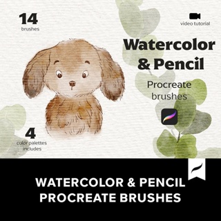 Procreate筆刷 | Watercolor & Pencil 14款水彩鉛筆Procreate筆刷包
