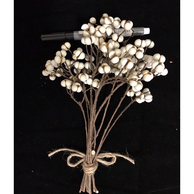 A-037烏桕(烏臼)種子串(已乾燥)，1串50元。乾燥花、裝飾、手作、插花、教學……