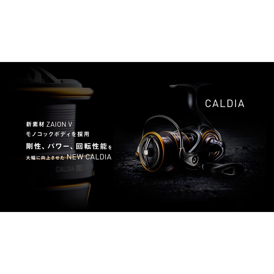 【超群釣具】 DAIWA CALDIA SW 捲線器 海釣 鐵板 紡車 船釣 遠投 路亞 大石斑 龍膽