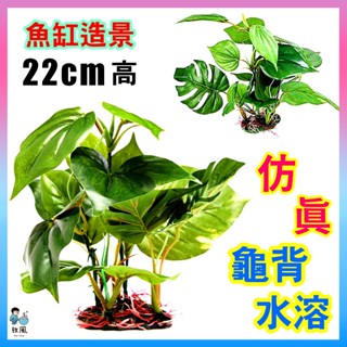 臺灣水草大王【模擬龜背水溶🌿】22cm高模擬水草 魚缸造景 水族造景 水草 水族 魚缸魚缸飾品水族箱造景假水草假草