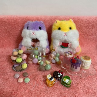 🌟尹芙之昕🌟【繽紛馬卡龍】微縮 袖珍 迷你 模擬 娃娃屋 法式小圓餅 少女的酥胸 法式甜點 下午茶無麩質減醣馬卡龍 手工